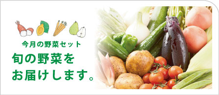 今月の野菜セット 旬の野菜をお届けします。